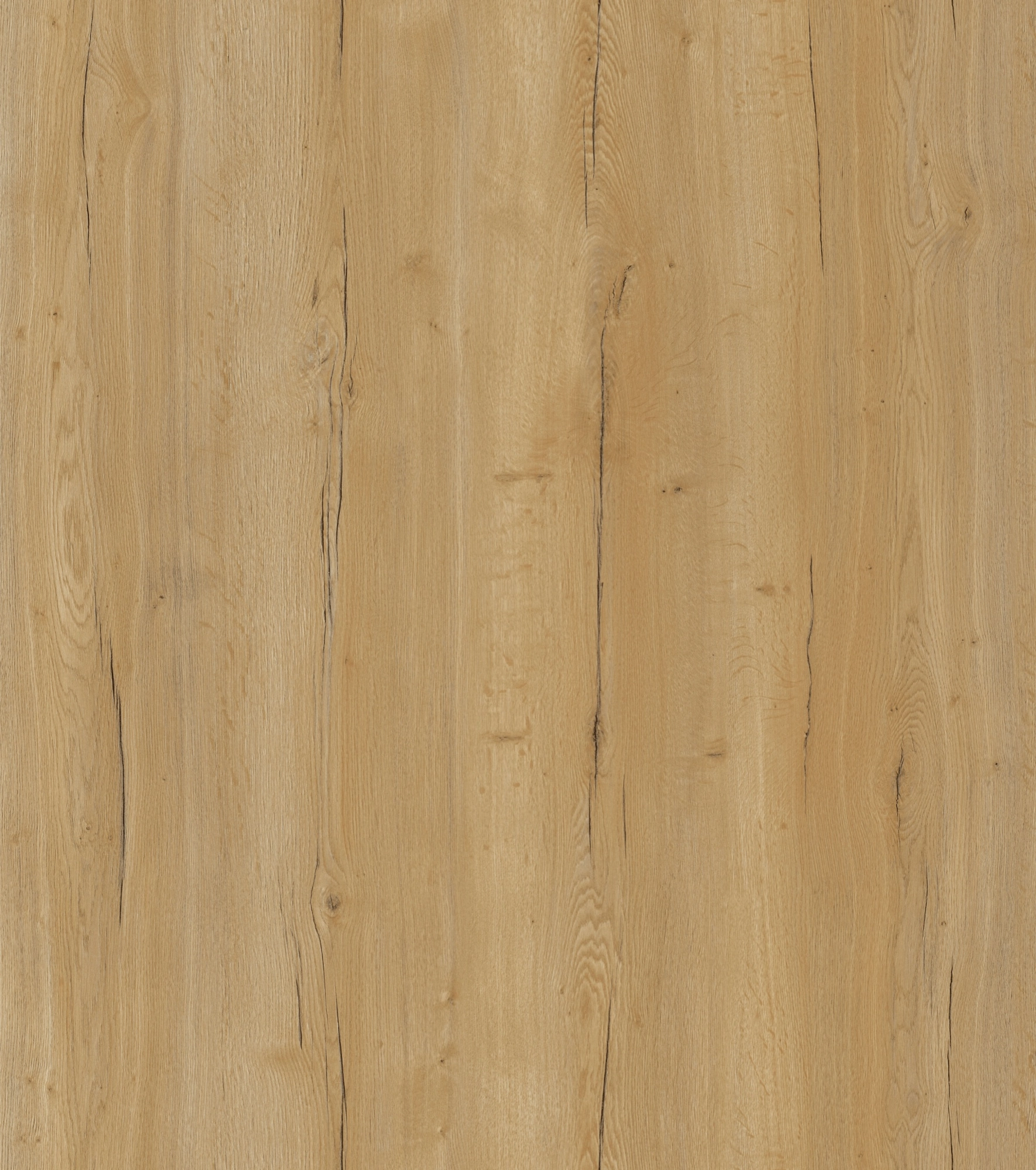 Harvest Wood – Light