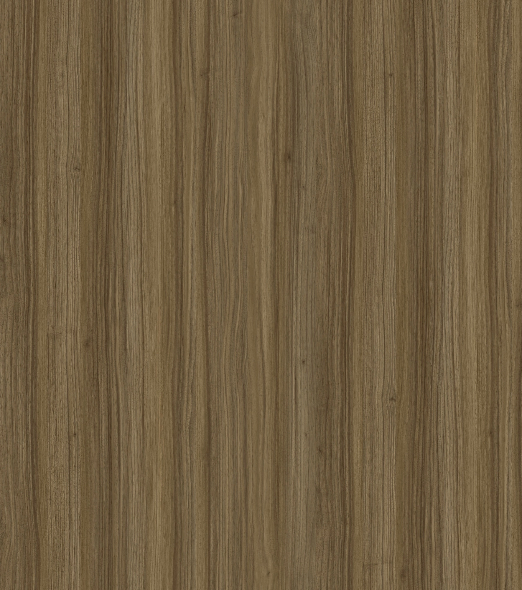 Olive Linear Wood